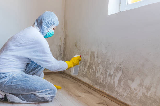 Hvac And Air Duct Mold Remediation inspection of HVAC system in Peoria