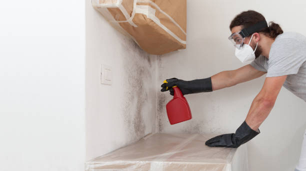 Attic Mold Remediation treatment on roof deck in Peoria